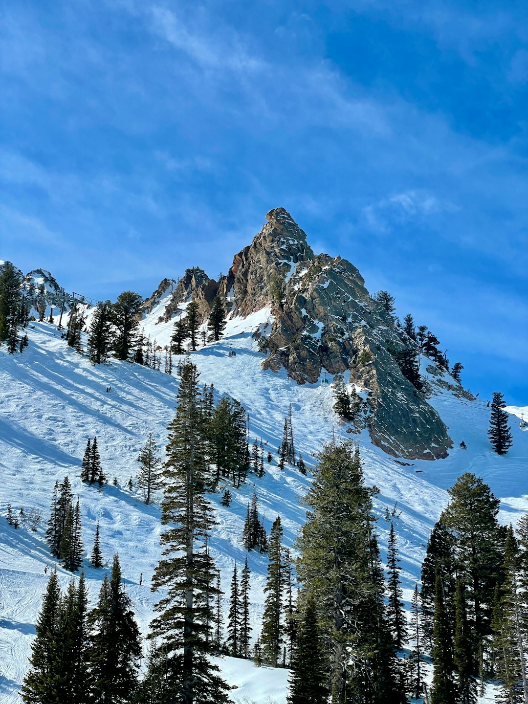Tracce di sci scendono da una montagna innevata con pini.