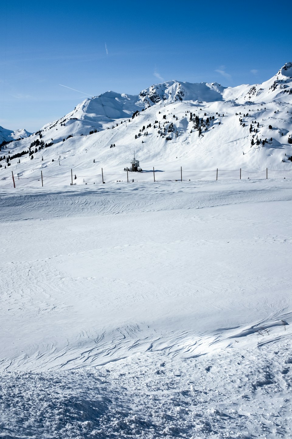 Paesaggio montano innevato con alberi sempreverdi e una funivia.